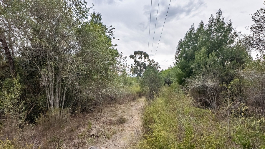 Commercial Property for Sale in Sedgefield Rural Western Cape